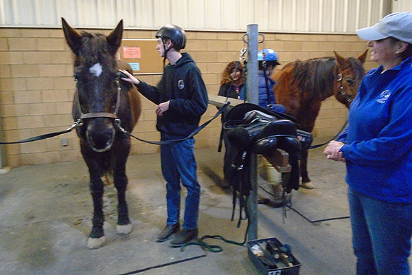 Equestrian Club