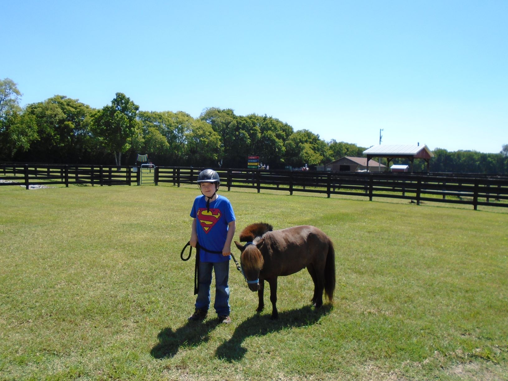 Fun on the Farm