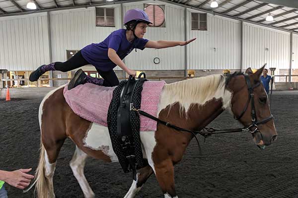 Interactive Vaulting